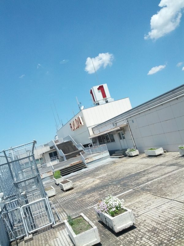 展望室屋上