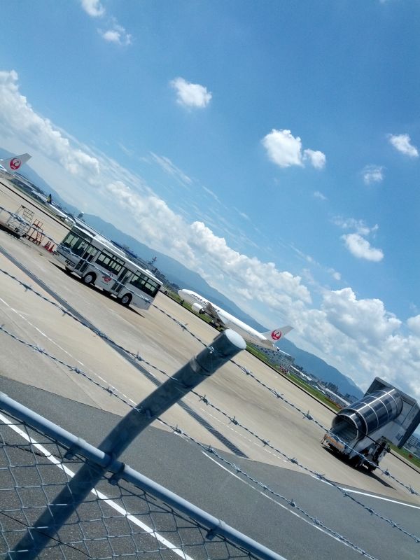 飛行機の近景