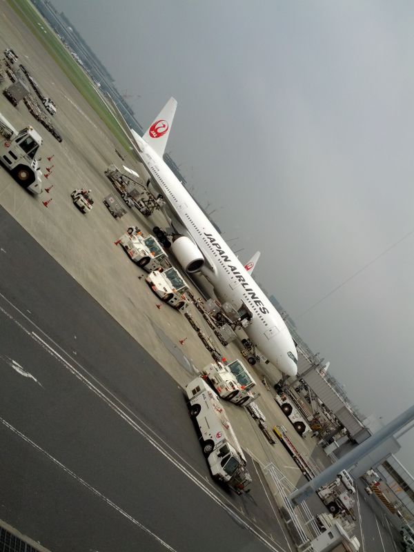 本日の飛行機