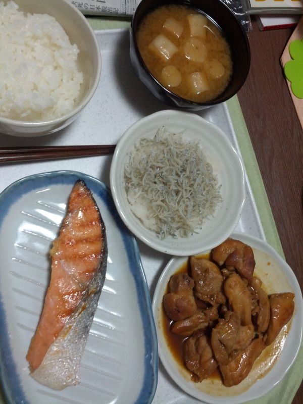 本日の夕食