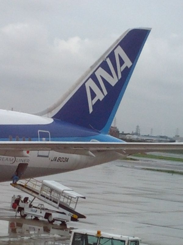 本日の飛行機