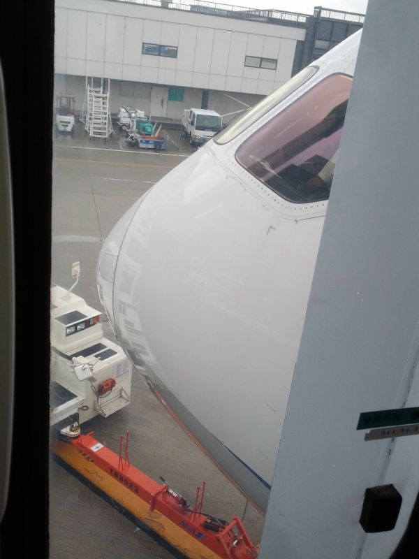 飛行機の先端部分