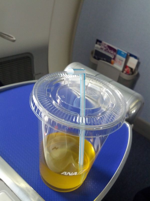 着陸準備前