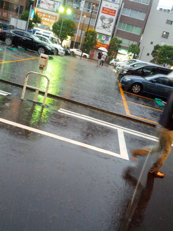 本日の降雨