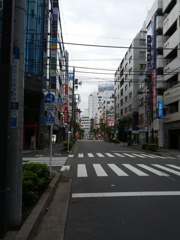 朝の散歩