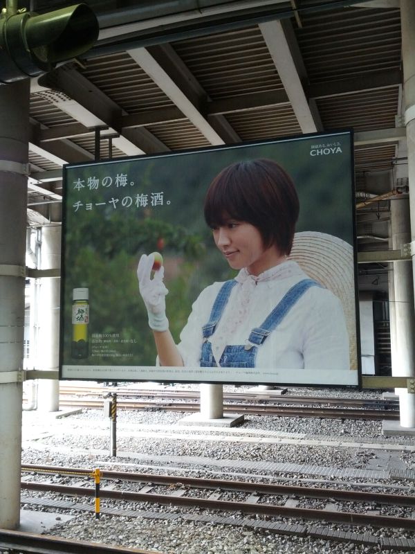 夏菜の広告