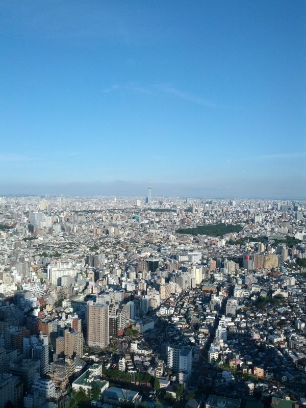 東京スカイツリー方面