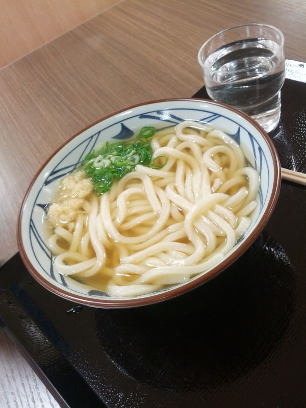 本日の昼食