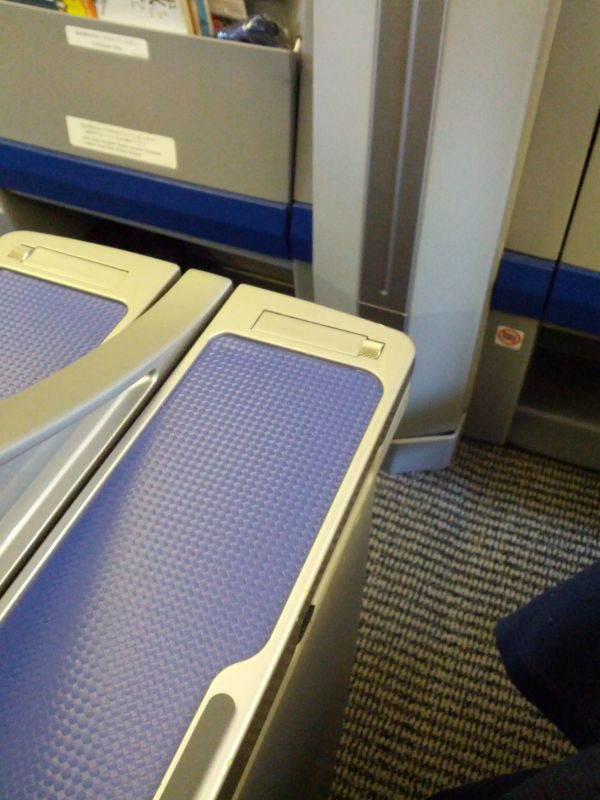 初めて見たもの
