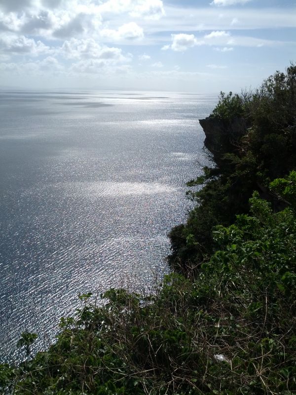 崖の風景