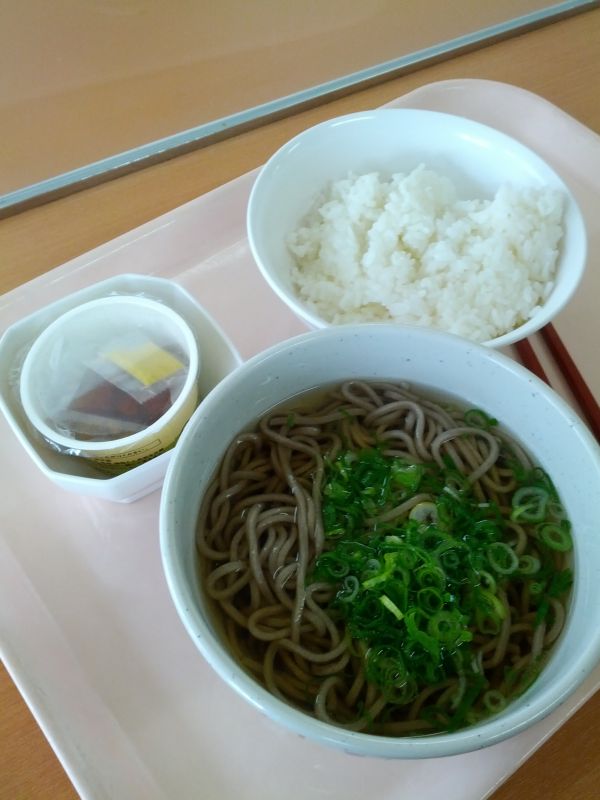 本日の昼食