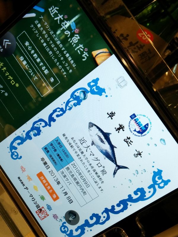 近大マグロ
