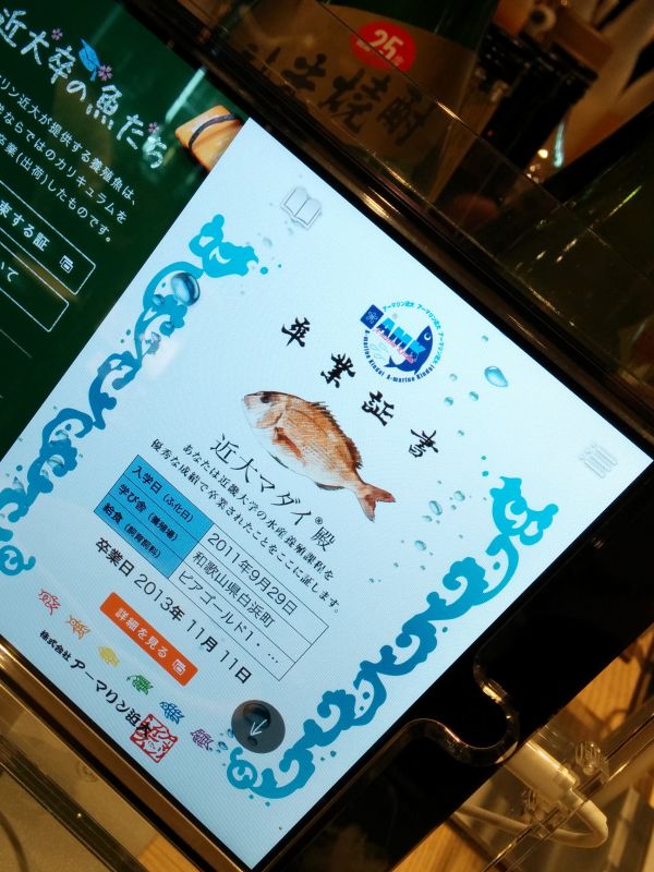 近大マダイ