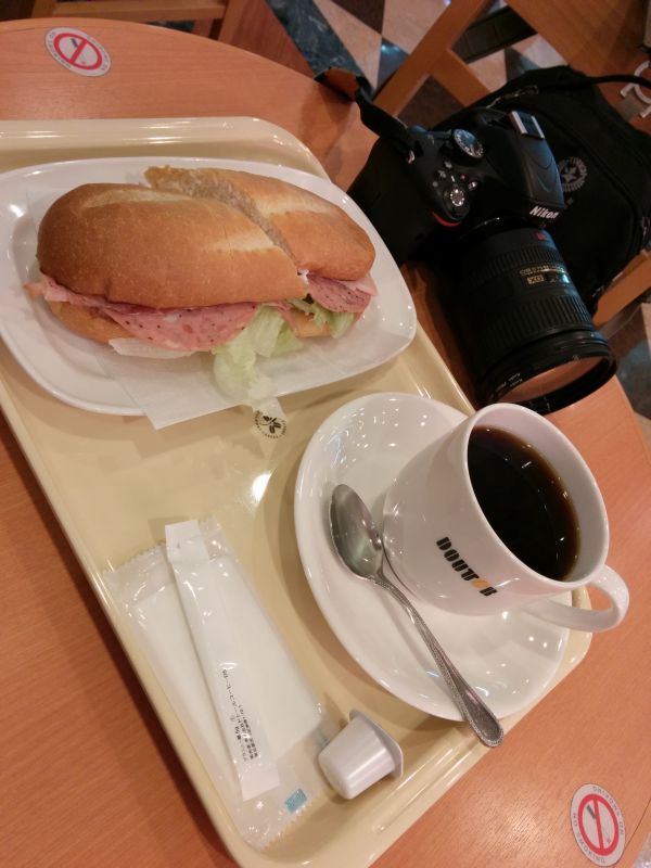 本日の夕食