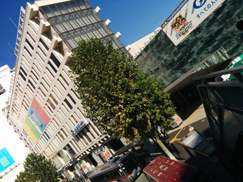 渋谷駅西口