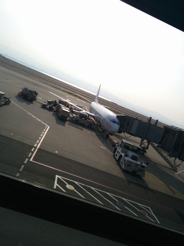 本日の飛行機