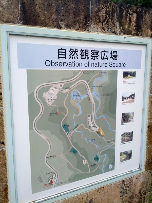 自然観察広場