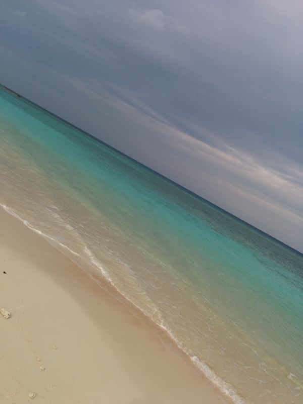 ニシ浜の風景