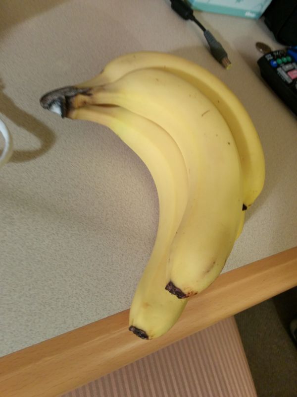 本日の朝食