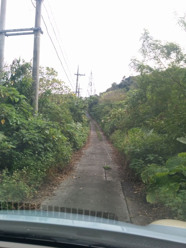 先に続く道