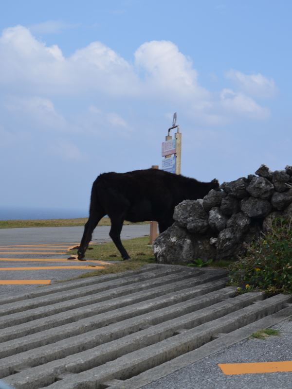 テキサスゲート