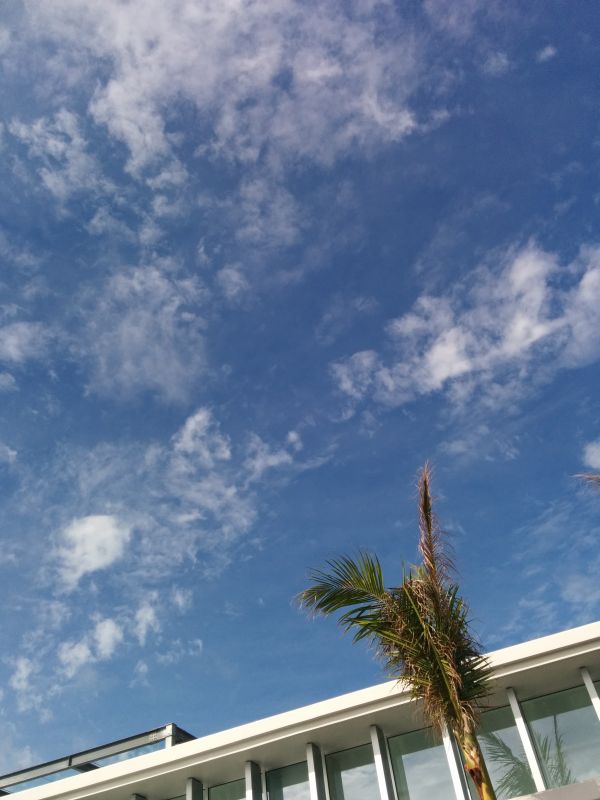 空模様