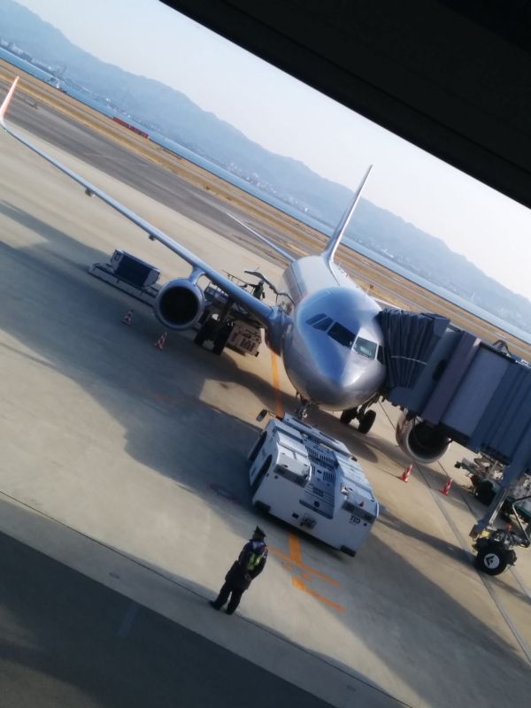 本日の飛行機