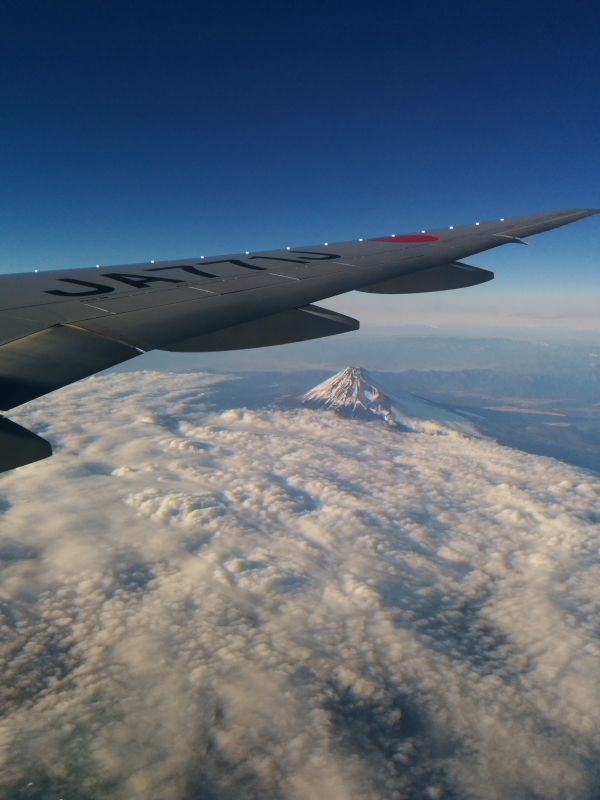 本日の富士山