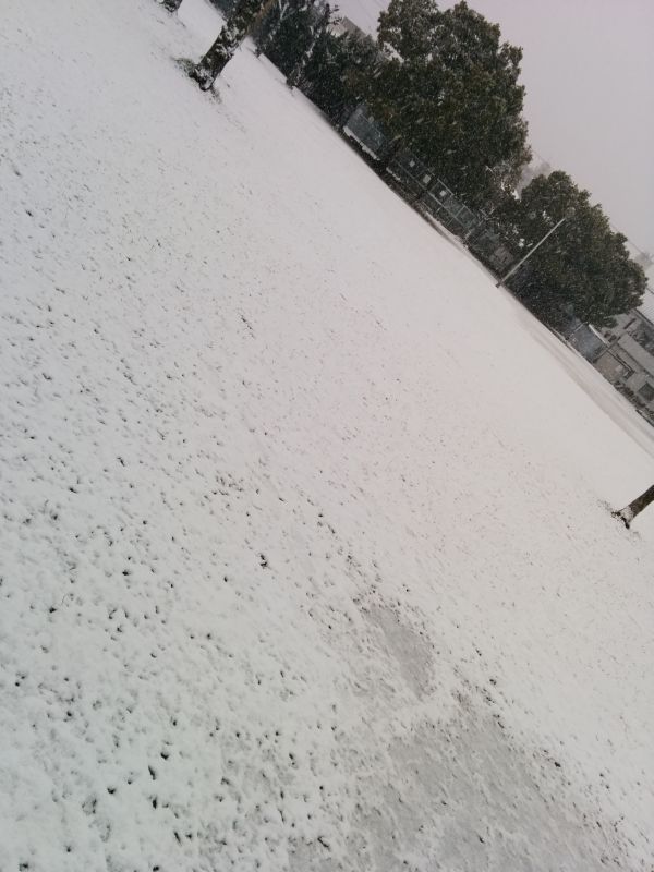 雪景色