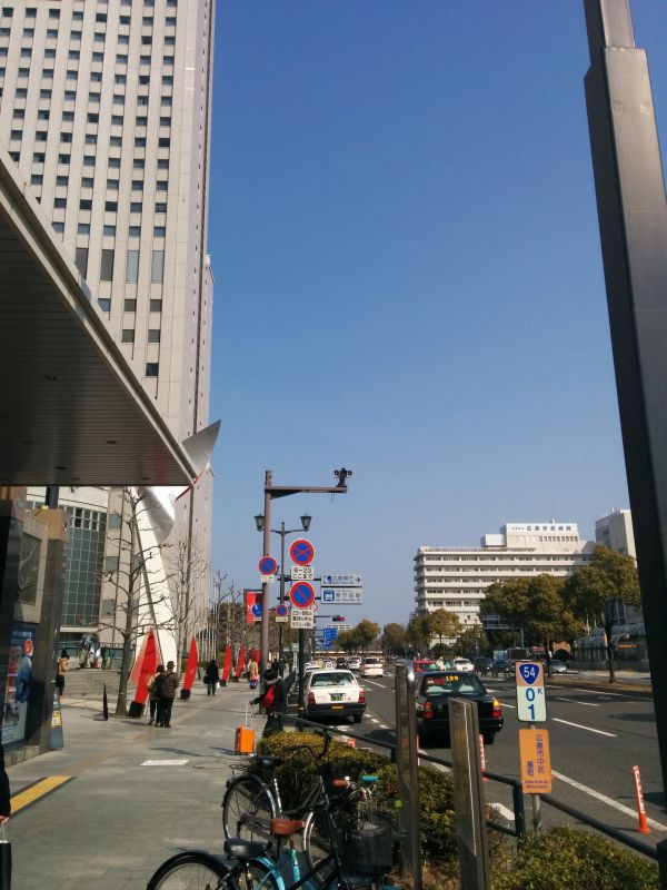 朝の散歩場所