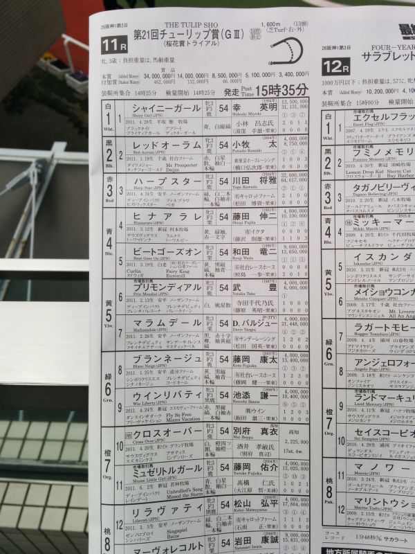 本日のメインレース