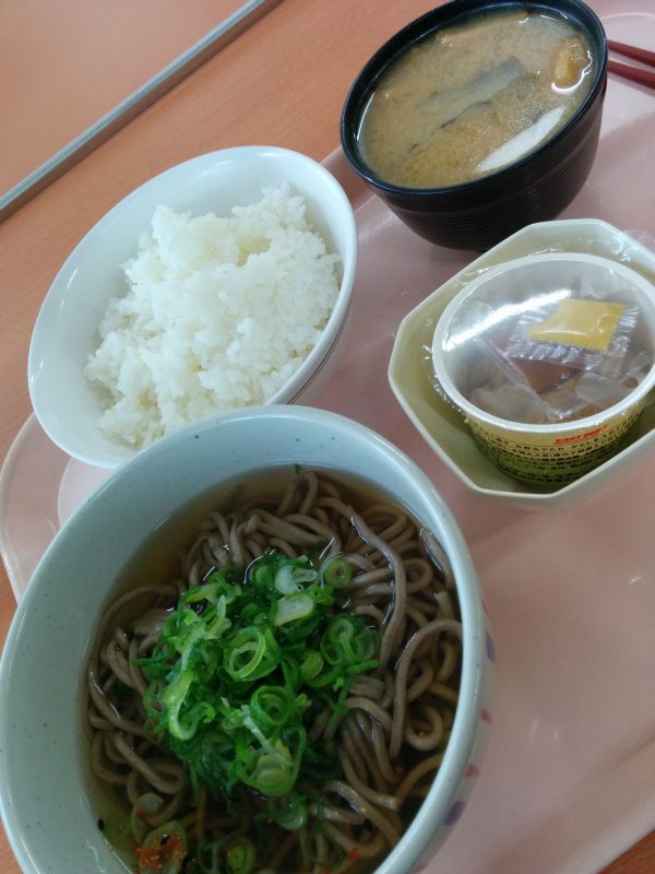 本日の昼食