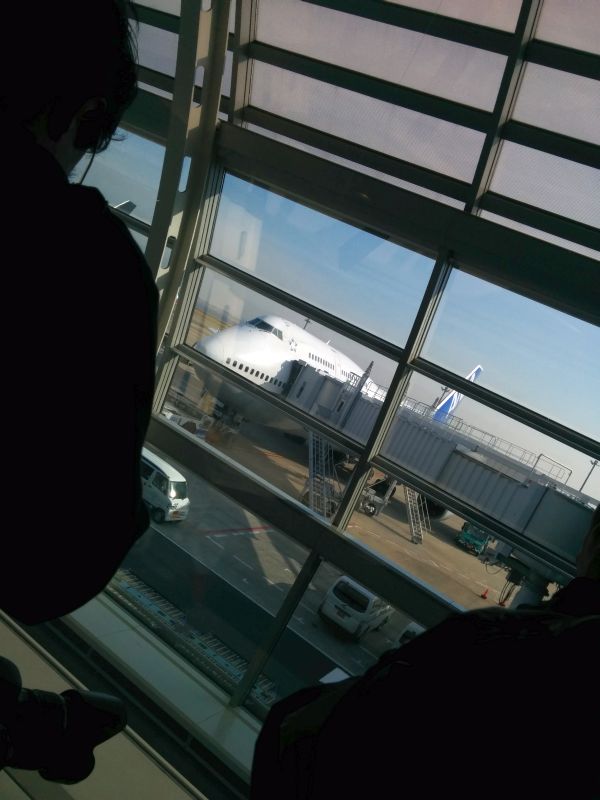 本日の飛行機