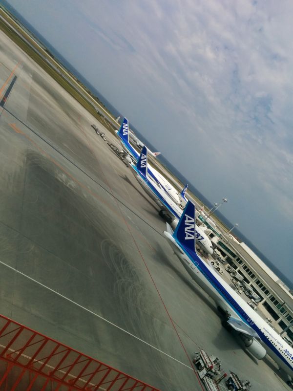 室内から撮影