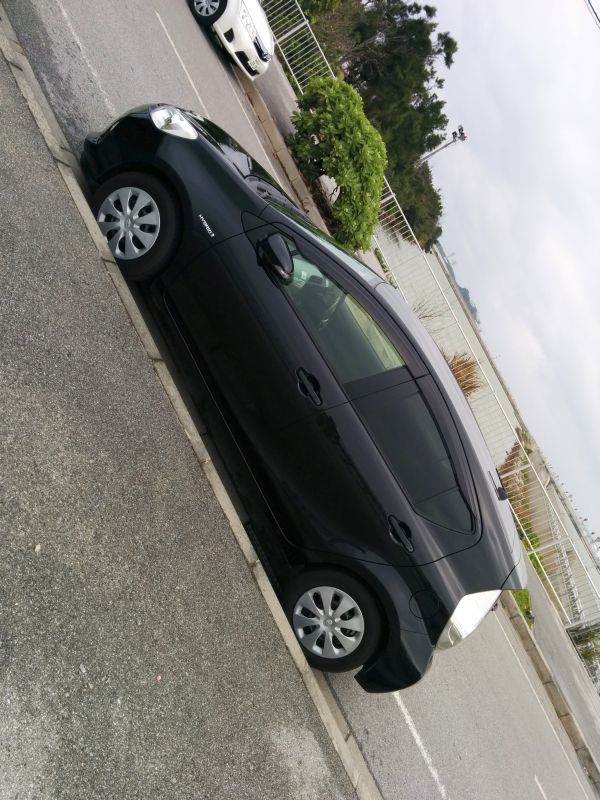 車体観察