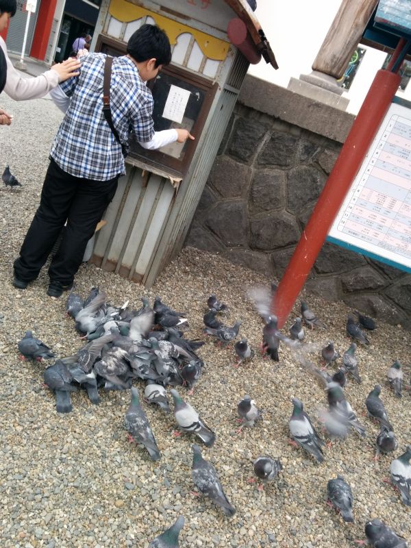 餌まき体験者登場