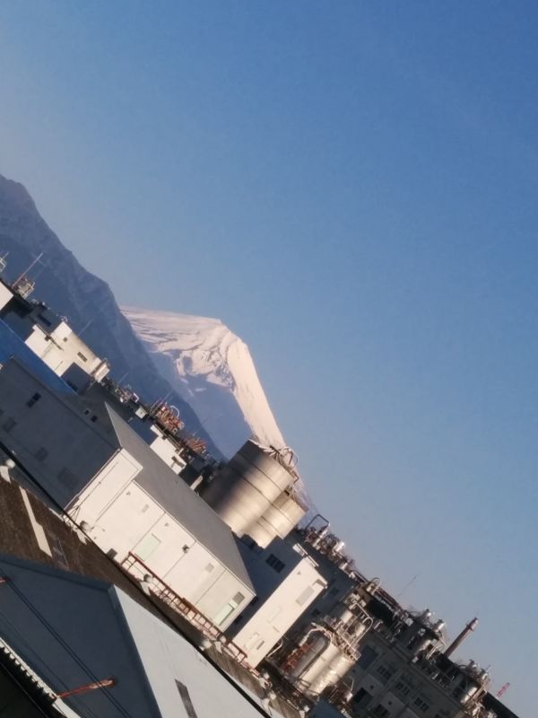 本日のお天気