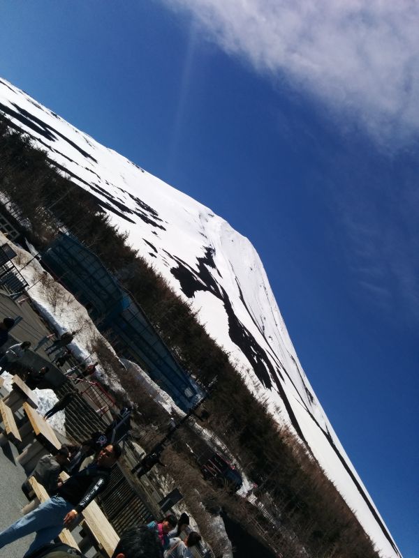 本日の富士山