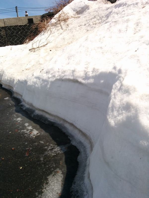 駐車場の積雪