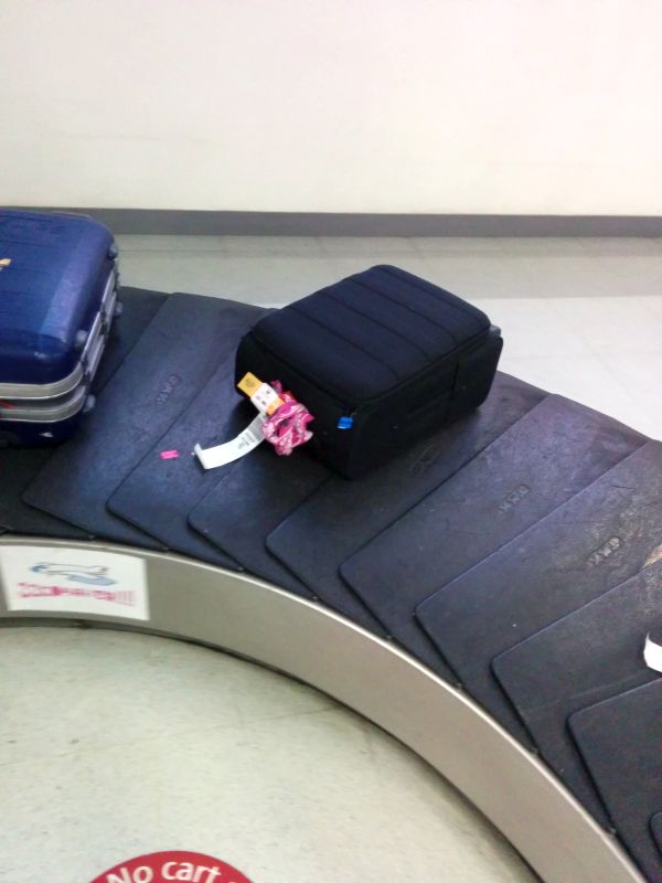本日の荷物