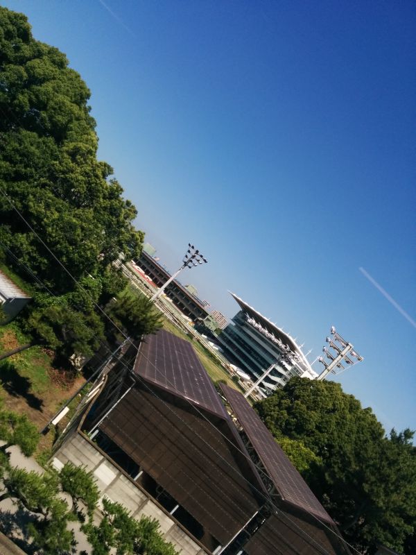 大井競馬場