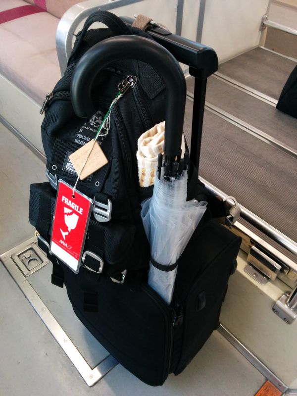 本日の荷物