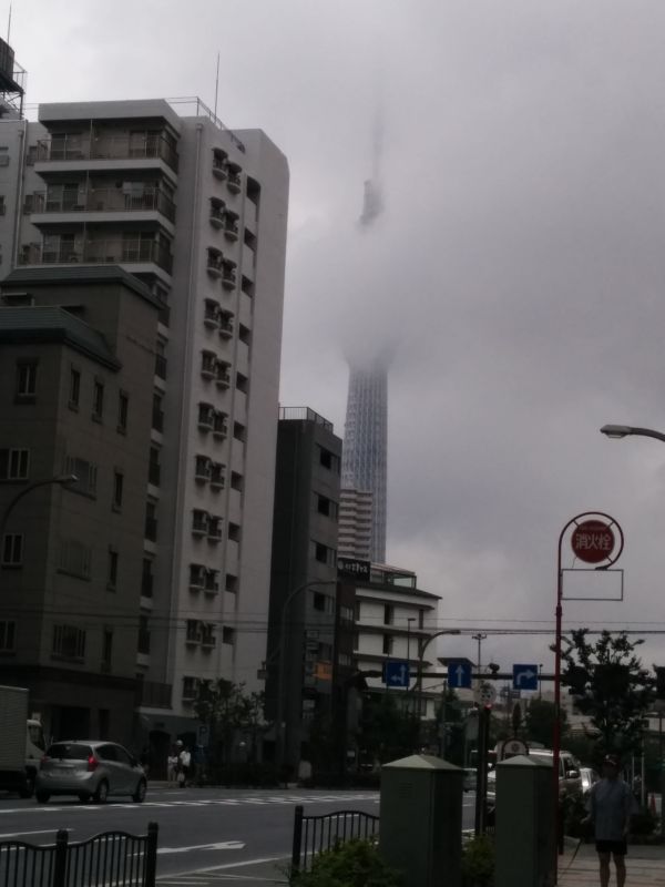 本日のスカイツリー