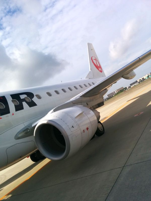 本日の飛行機
