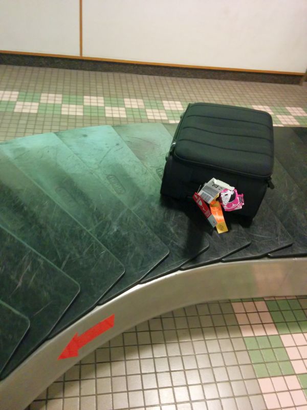 本日の着順