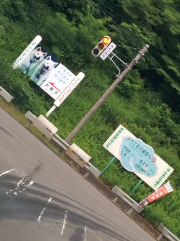 ハチ公のふるさと