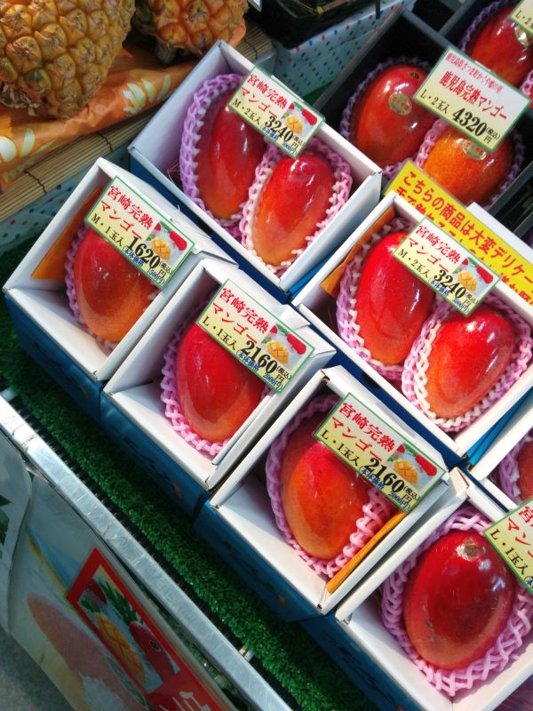 マンゴー