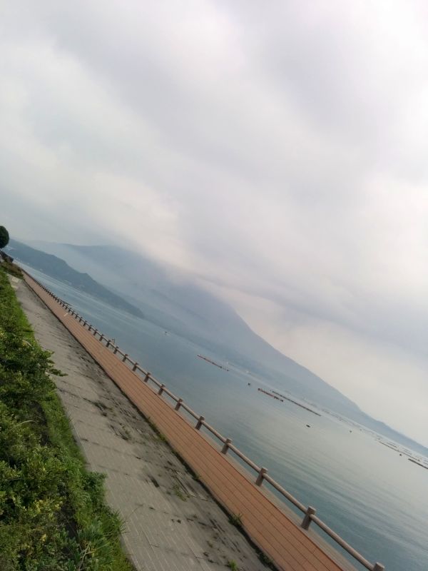 本日の桜島