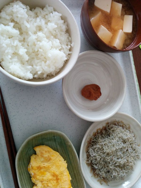 本日の朝食兼昼食