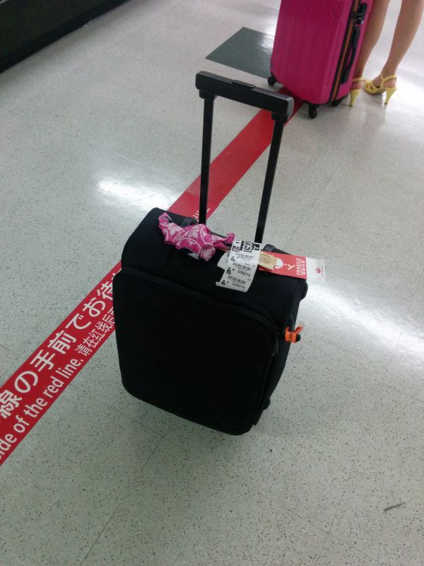 本日の荷物
